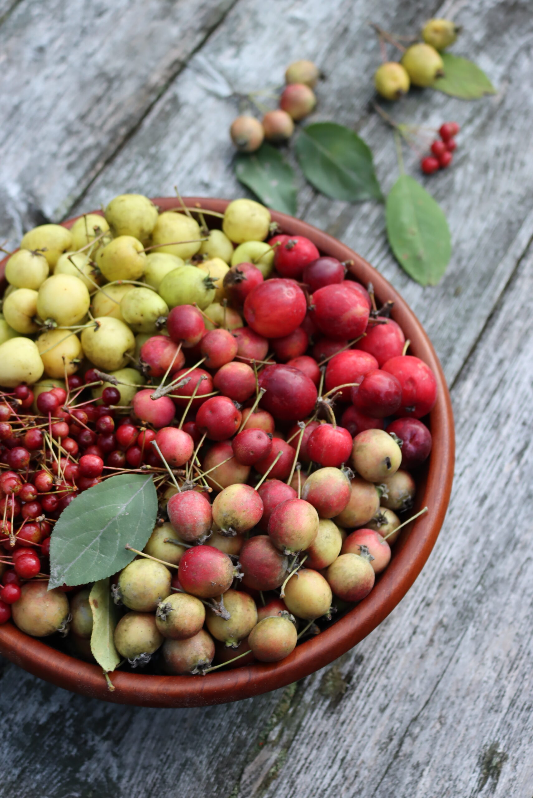 Crabapples