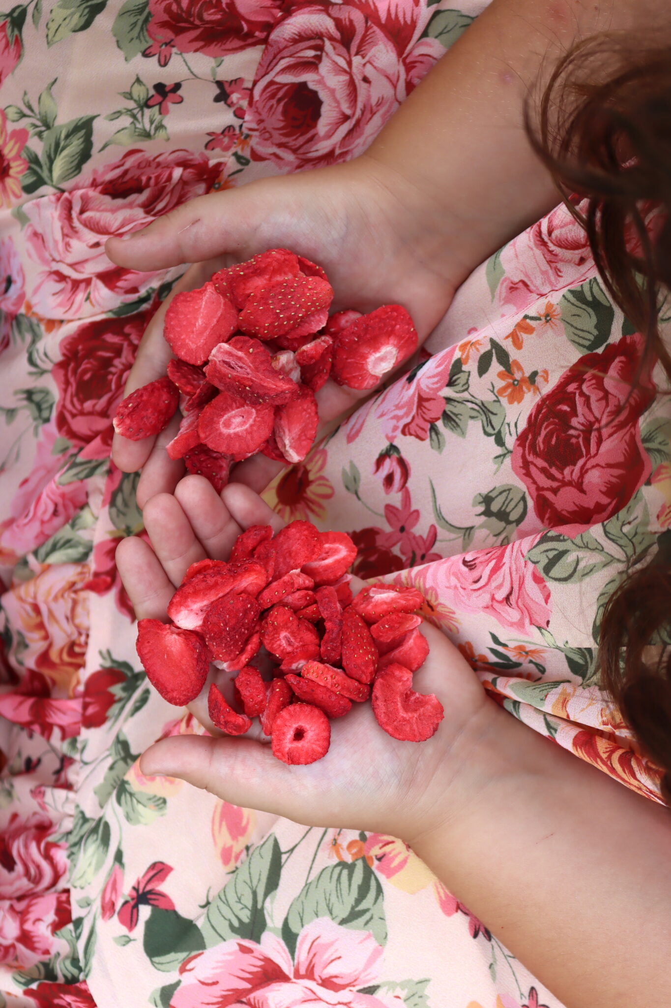 Freeze Dried Strawberries