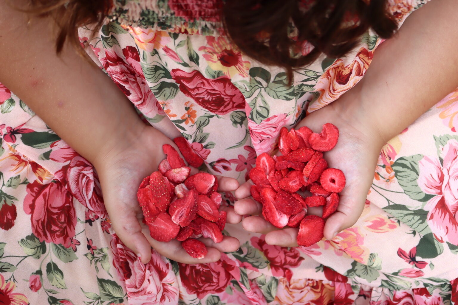 Freeze Dried Strawberries