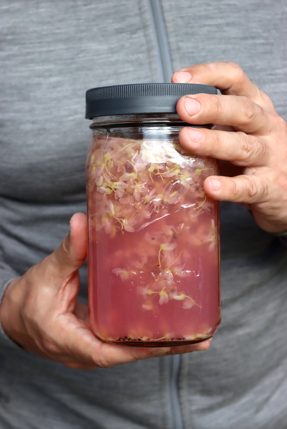 Eastern Redbud Tea