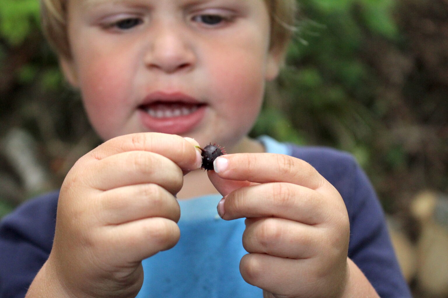 Child with Wild Gooseberry