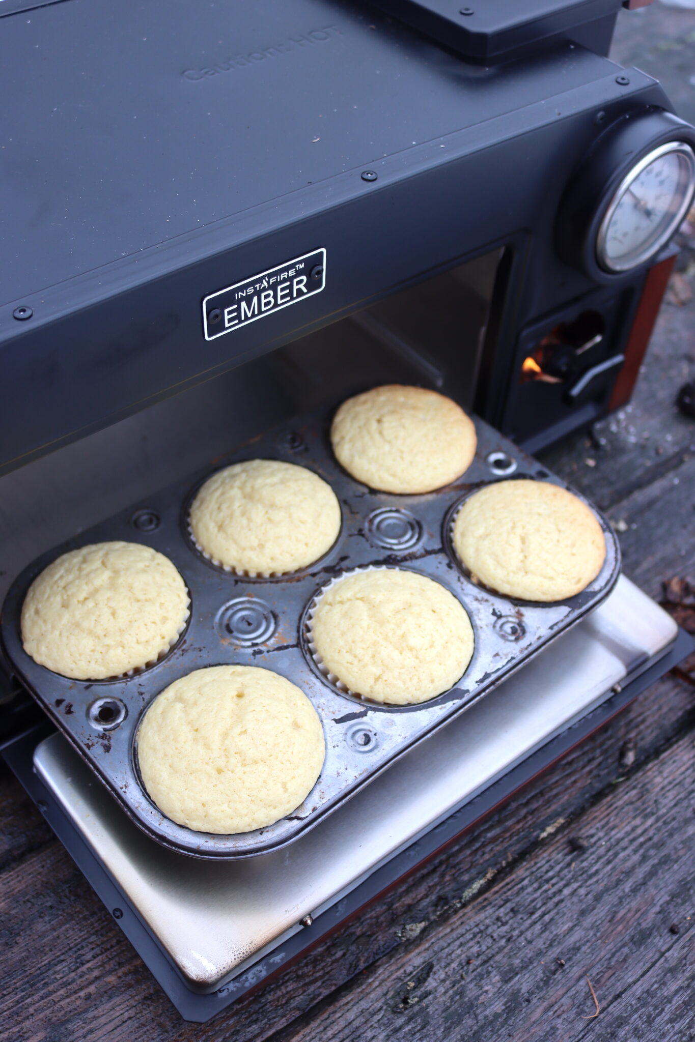 Cupcakes in the Ember Instafire