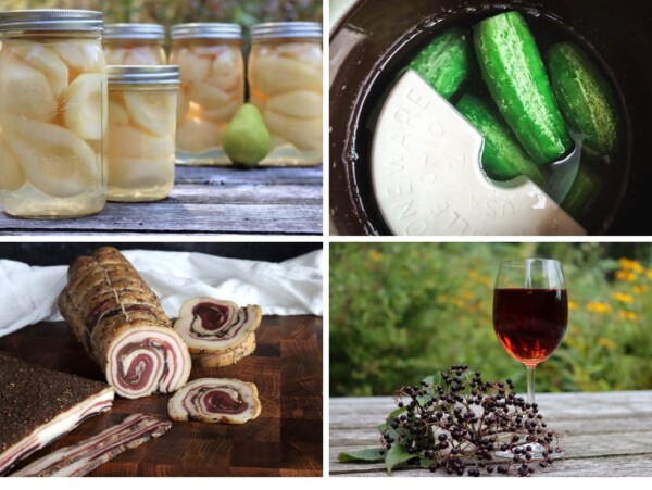 Ways to Preserve Food