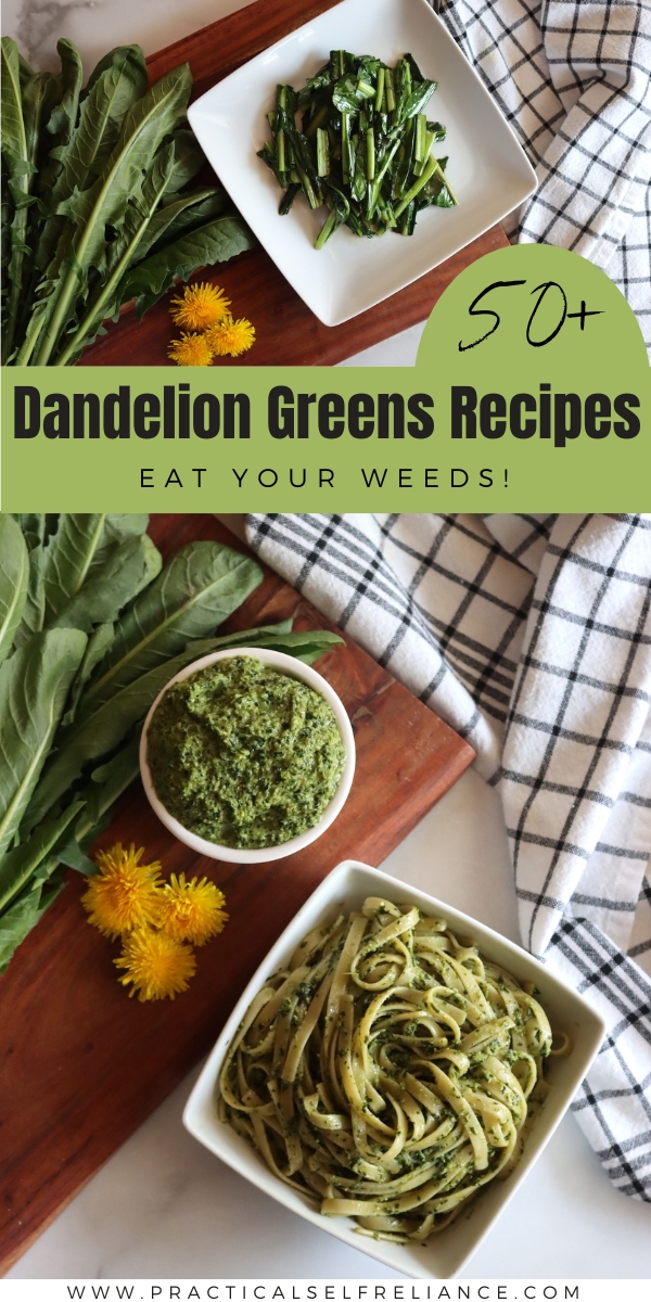 Dandelion Greens Recipes