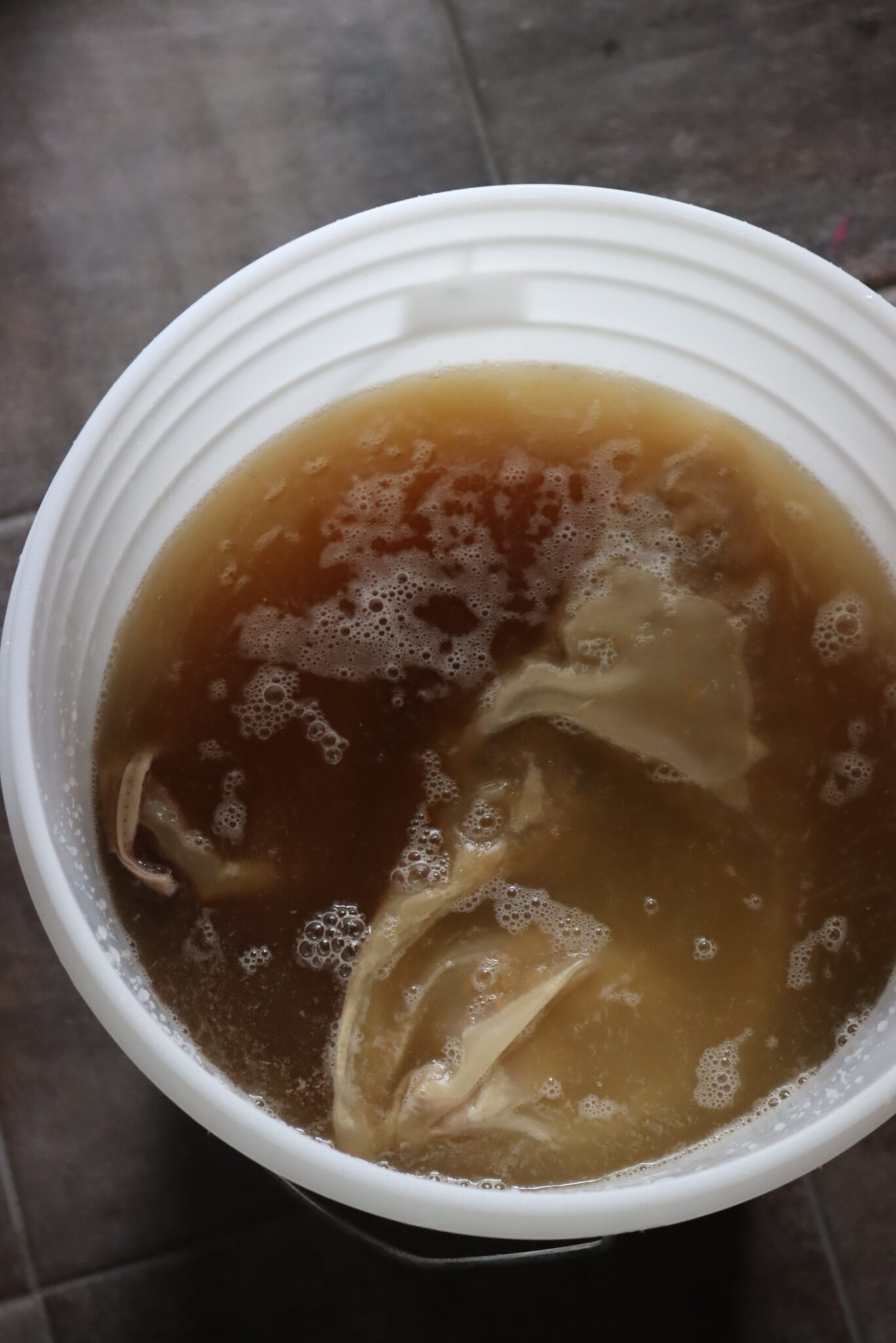 Dandelion Mead Brew Bucket