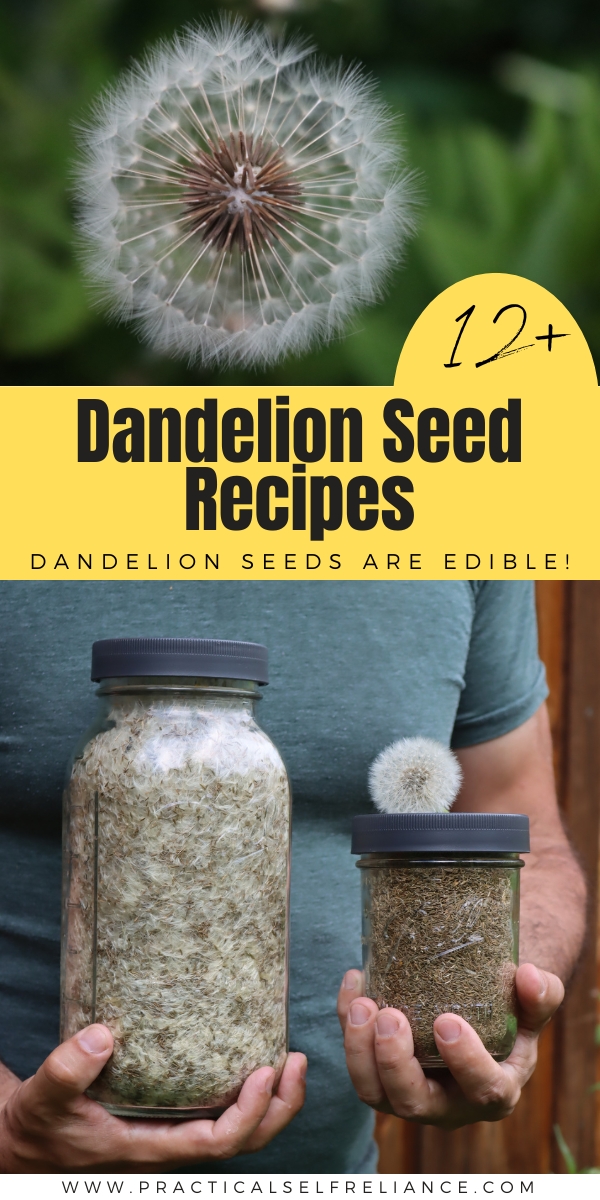 Dandelion Seed Recipes