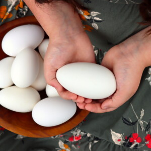 Goose Eggs