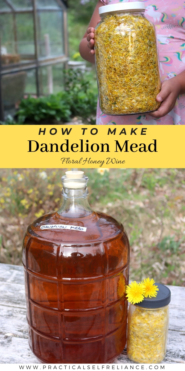 How to Make Dandelion Mead
