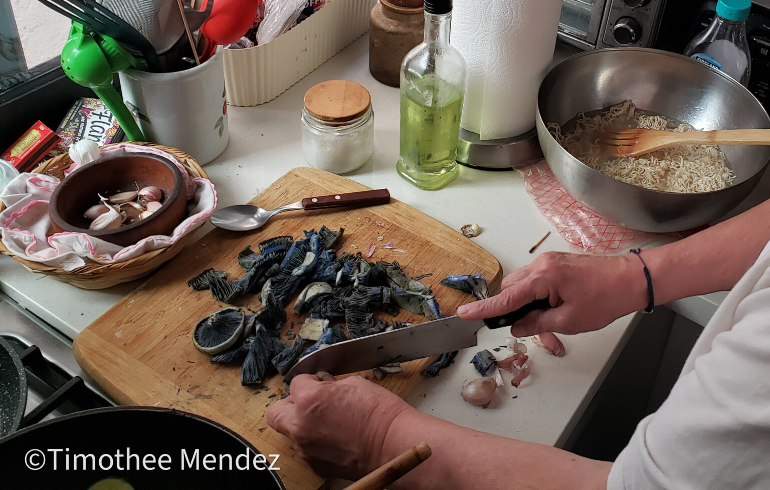 Indigo Milk Caps (Lactarius indigo)