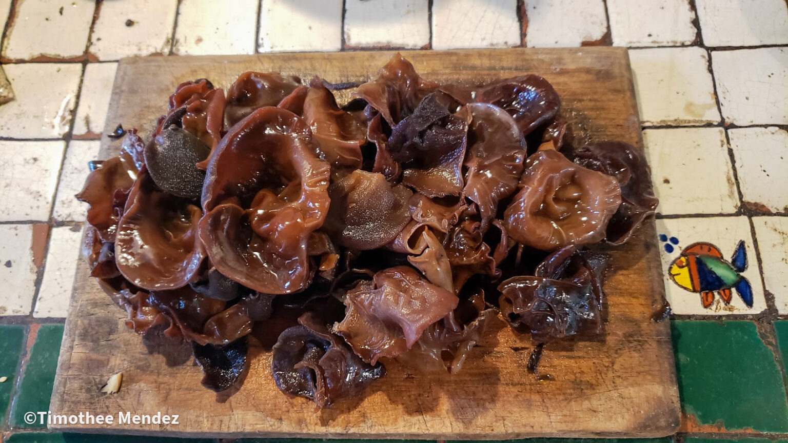 Wood Ear Mushrooms