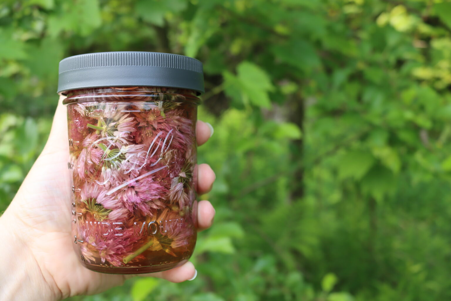 Chive Blossom Vinegar