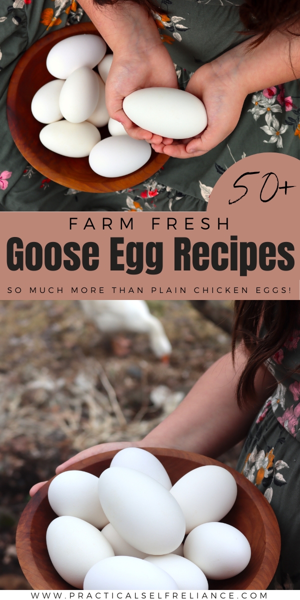 Goose Egg Recipes List