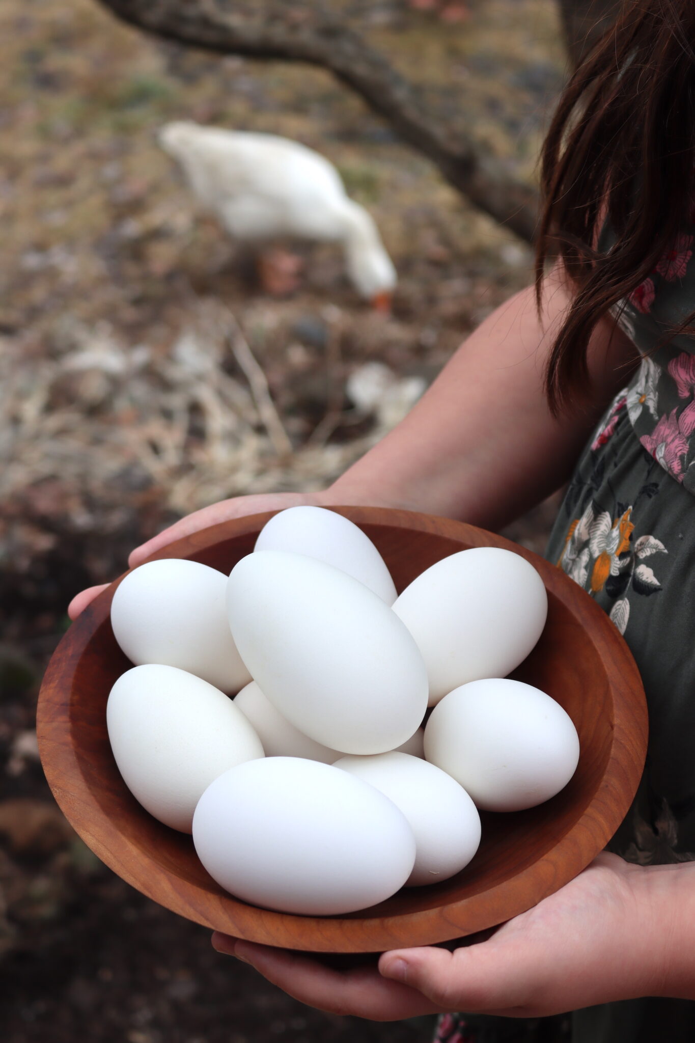 Goose Eggs