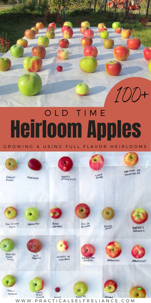 Heirloom Apple Varieties