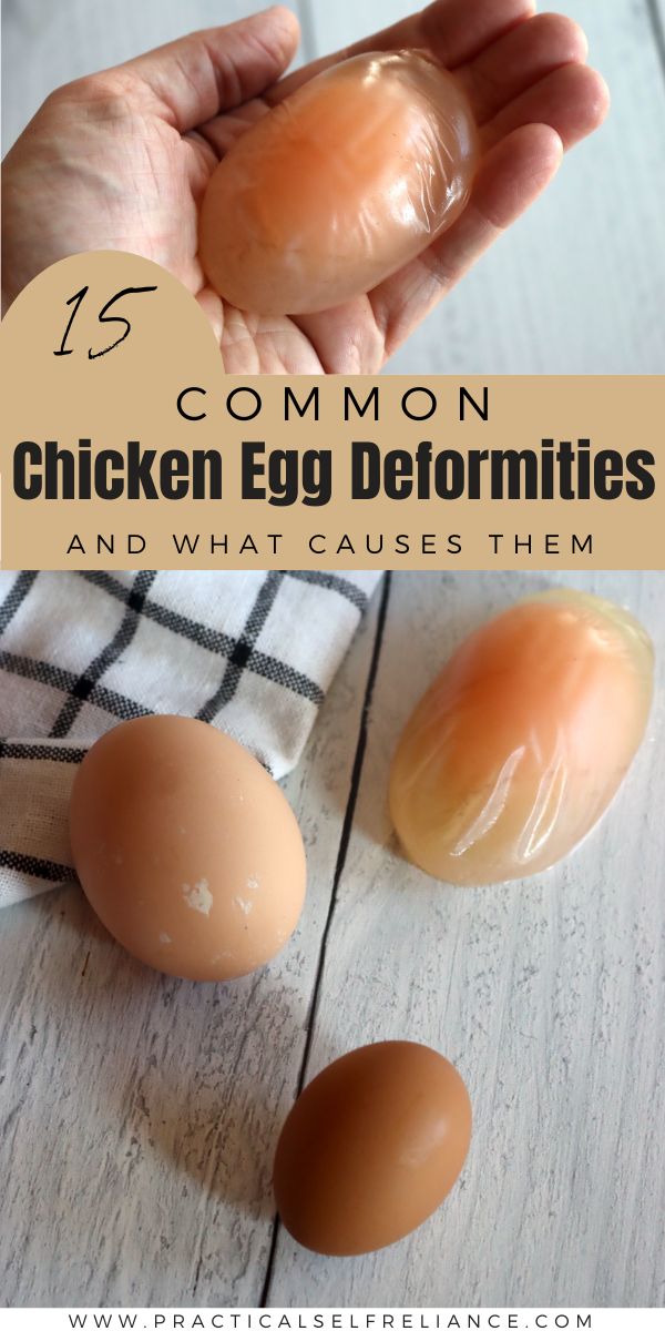 List of chicken egg deformities