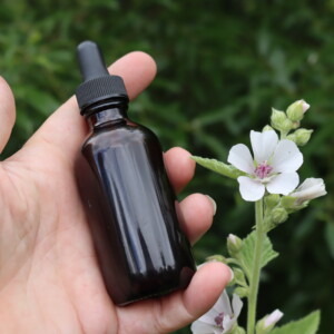 Marshmallow Tincture