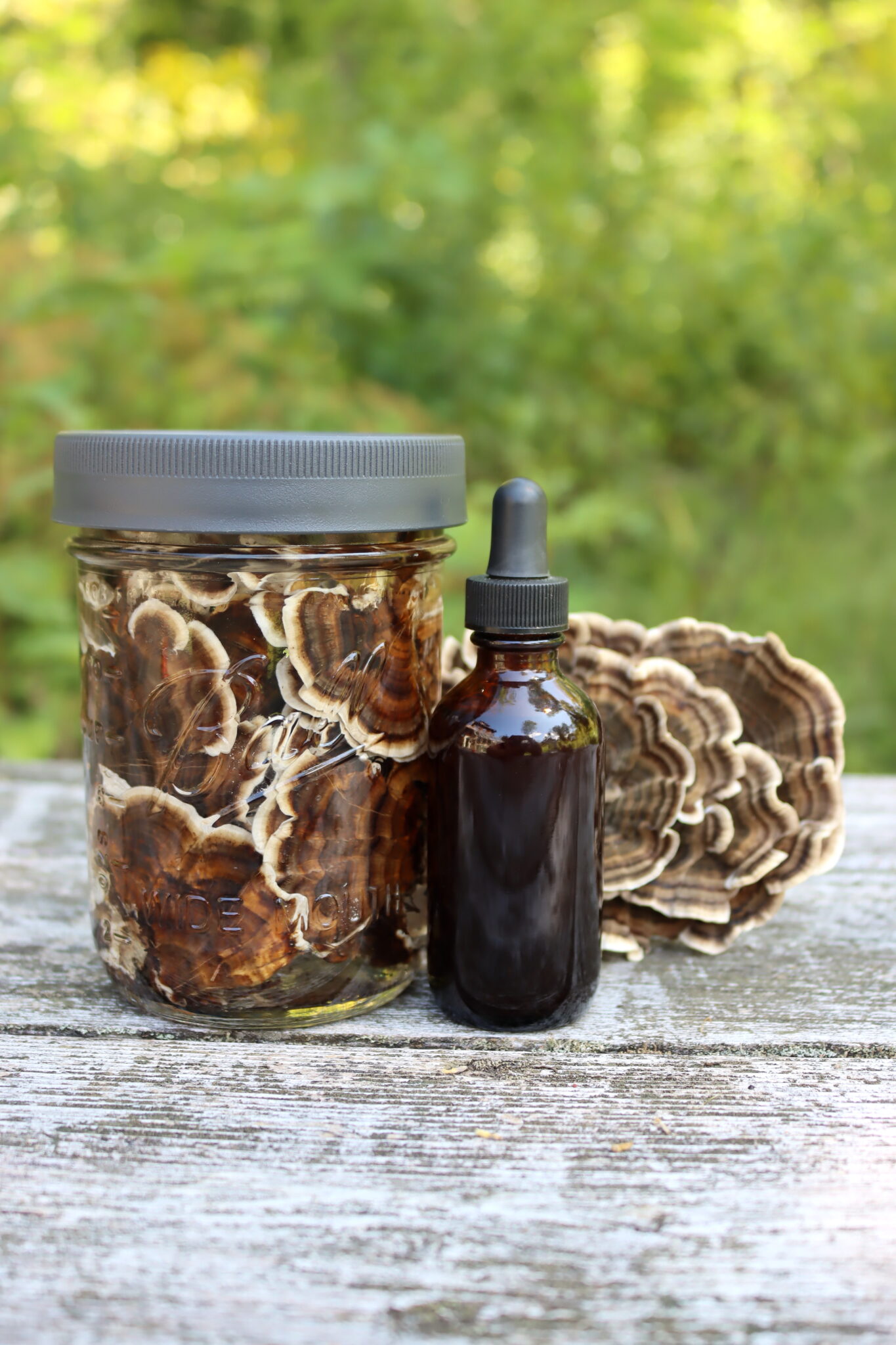 Homemade Turkey Tail Tincture