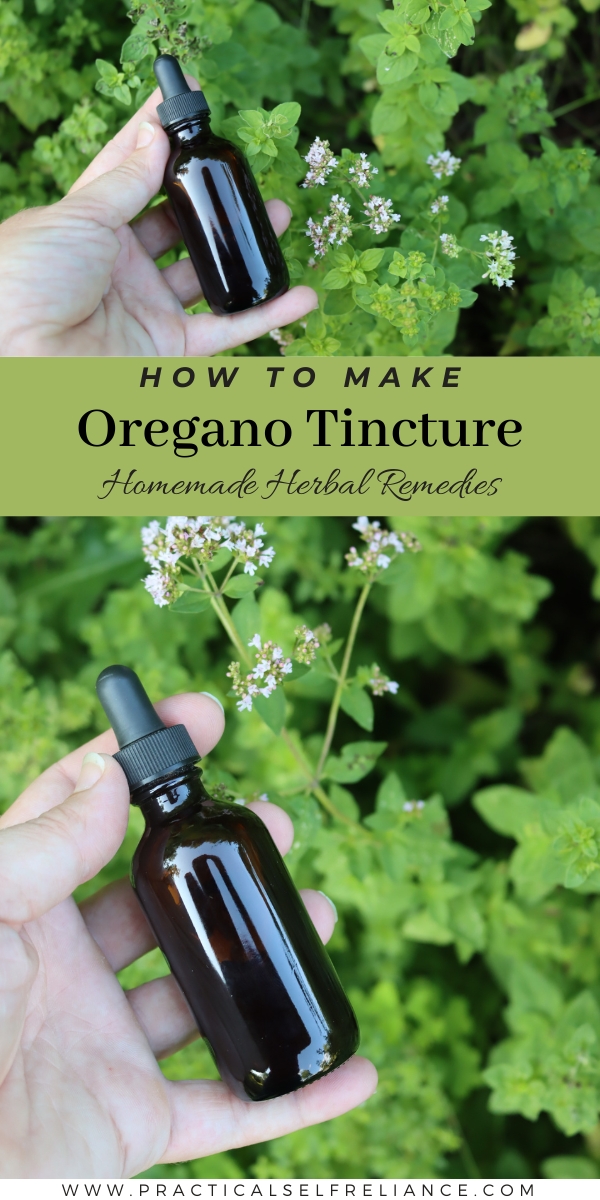 How to Make Oregano Tincture