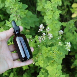 Oregano Tincture