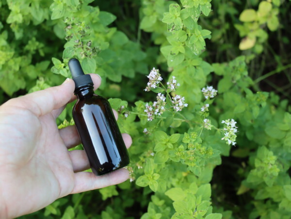 Oregano Tincture