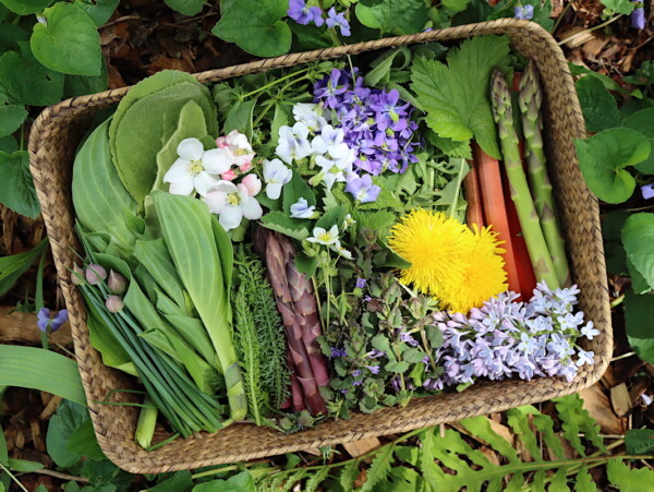 Spring Foraging Basket