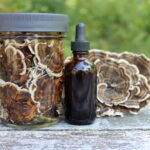 Turkey Tail Mushroom Tincture