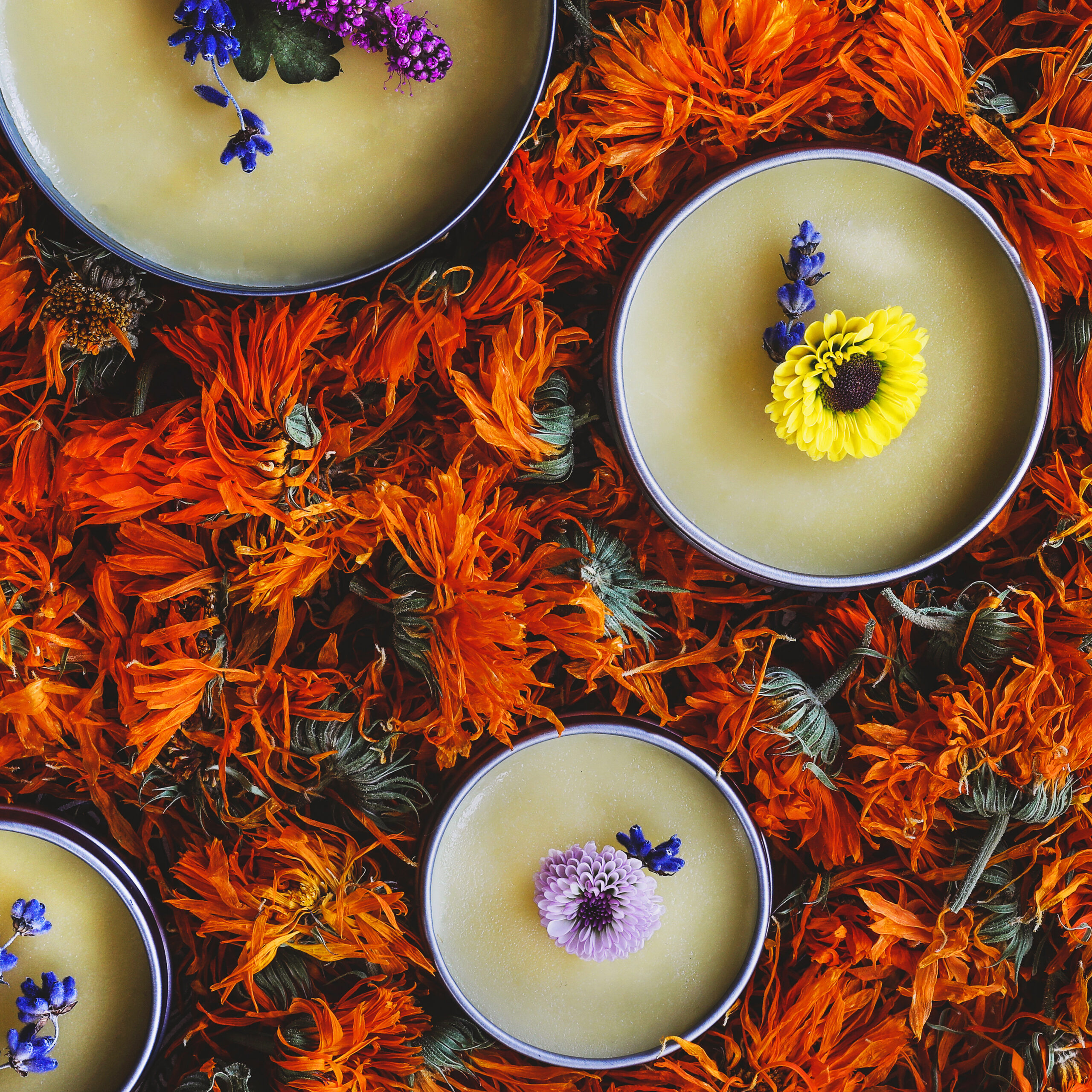 Vegan Salve Recipe