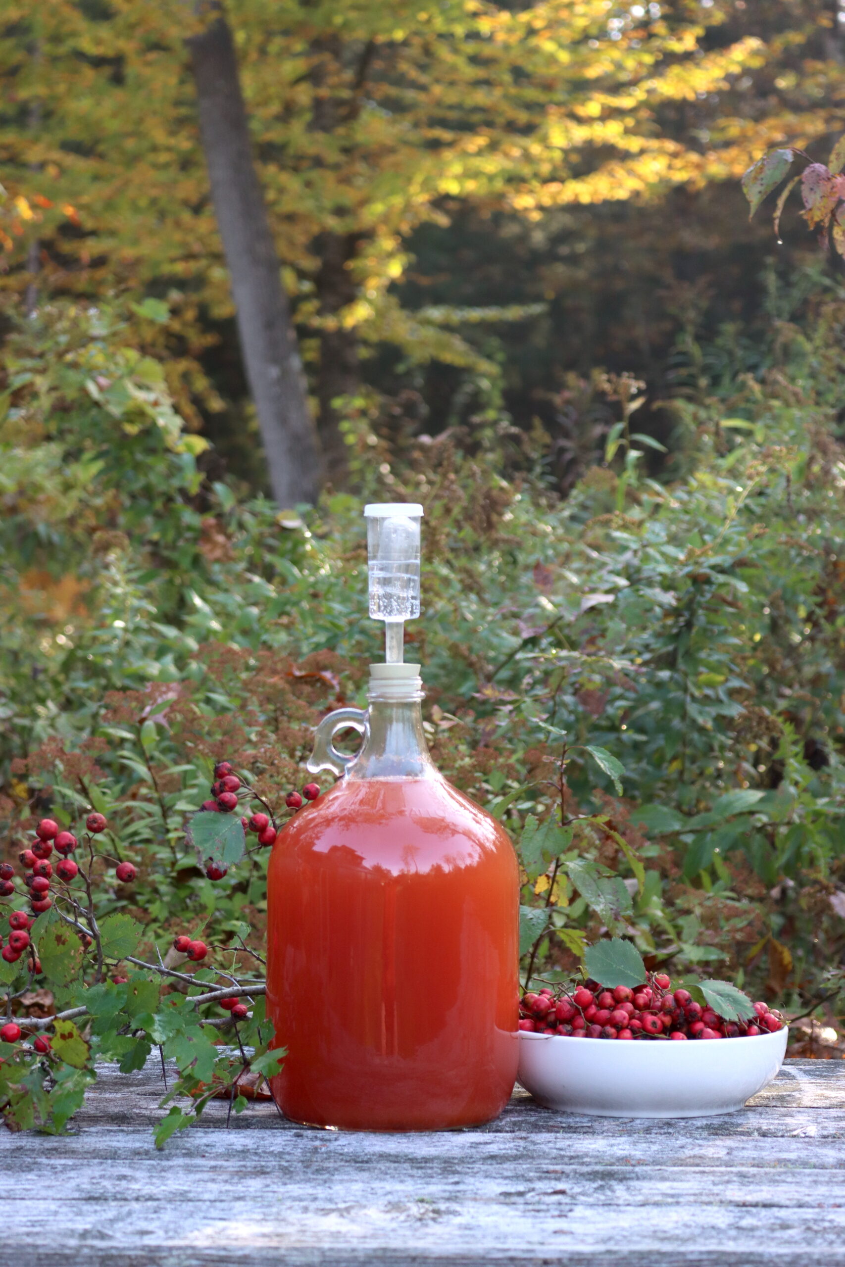 Hawthorn Wine