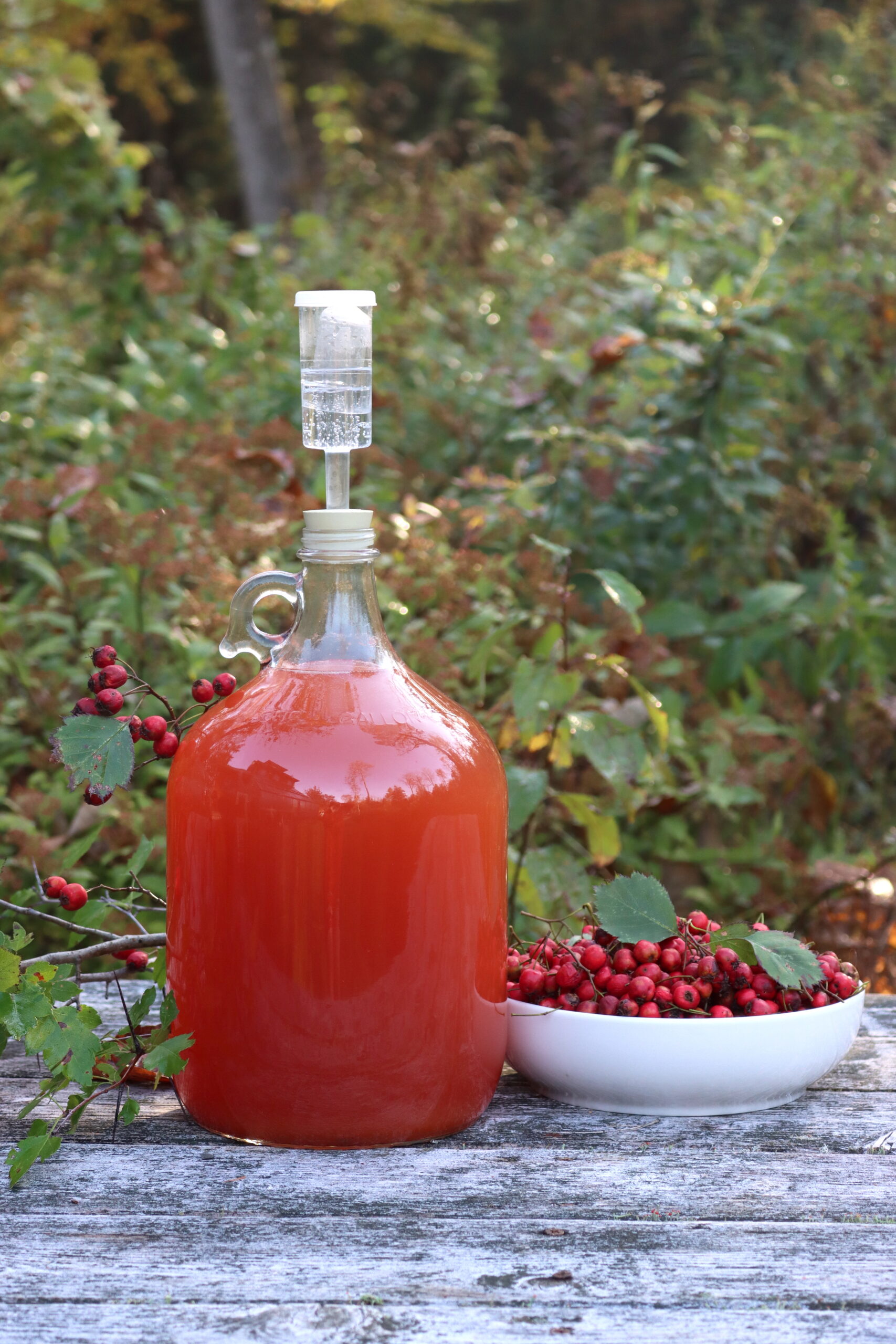 Hawthorn Wine