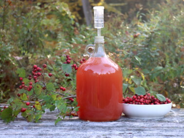 Hawthorn Wine