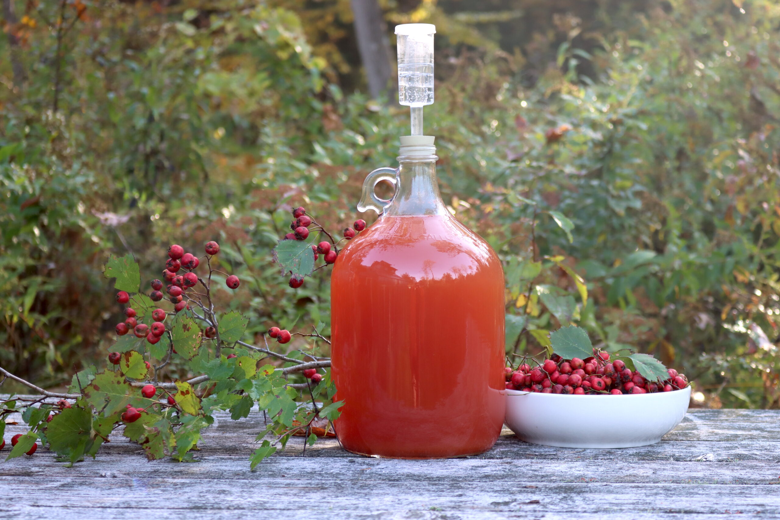 Hawthorn Wine