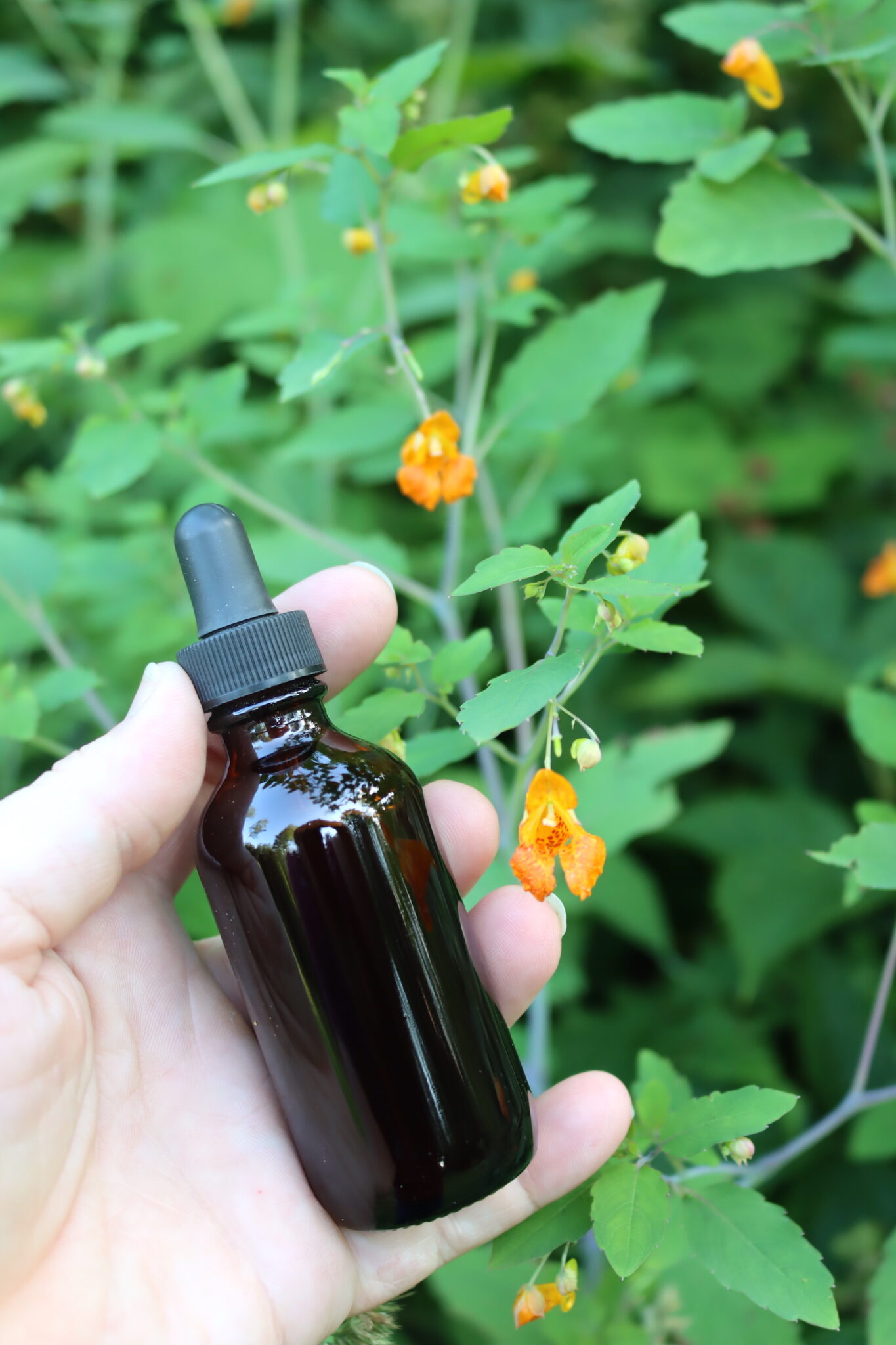 Jewelweed Tincture