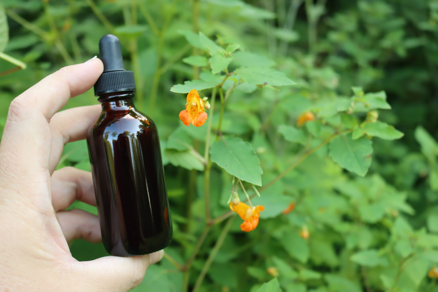 Jewelweed Tincture