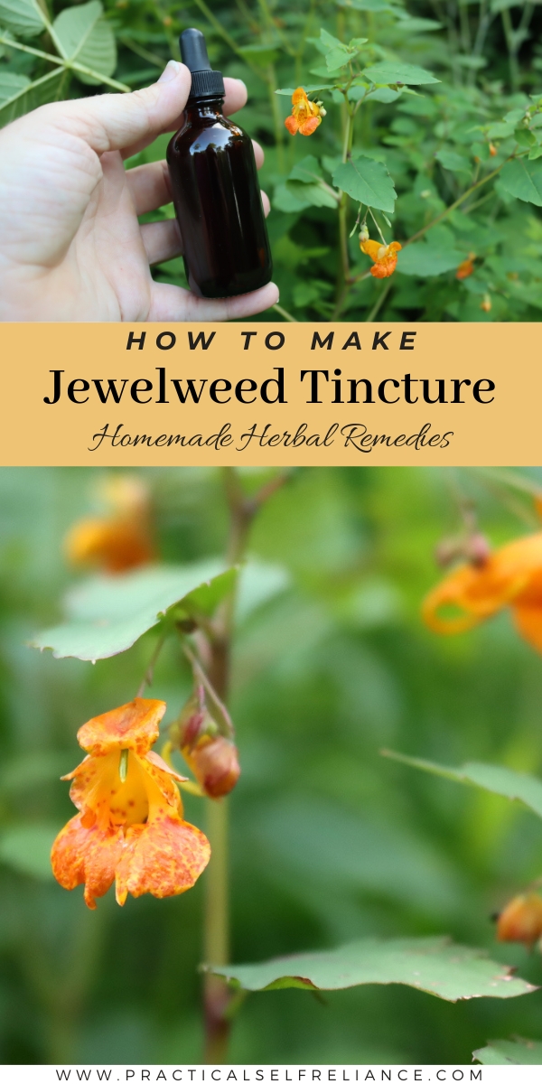 Making Jewelweed Tincture