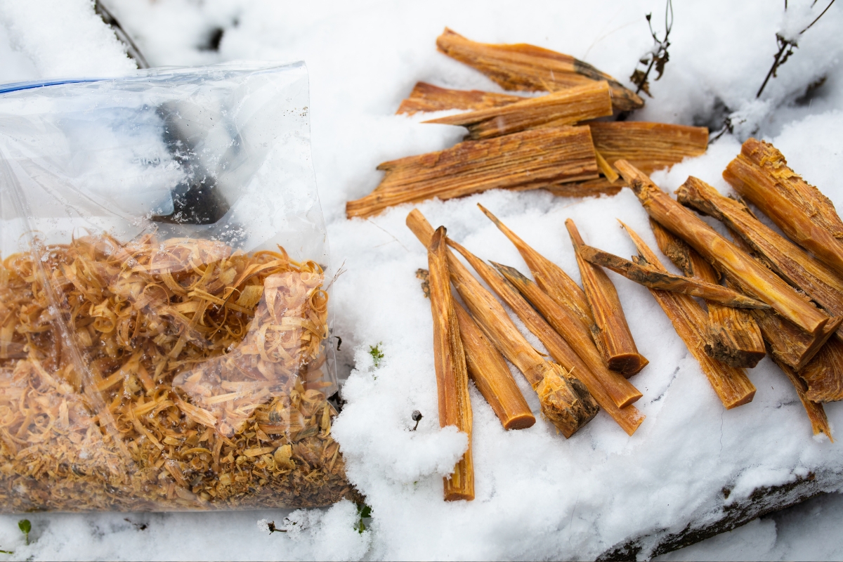 Pine Fatwood and Fatwood Shavings