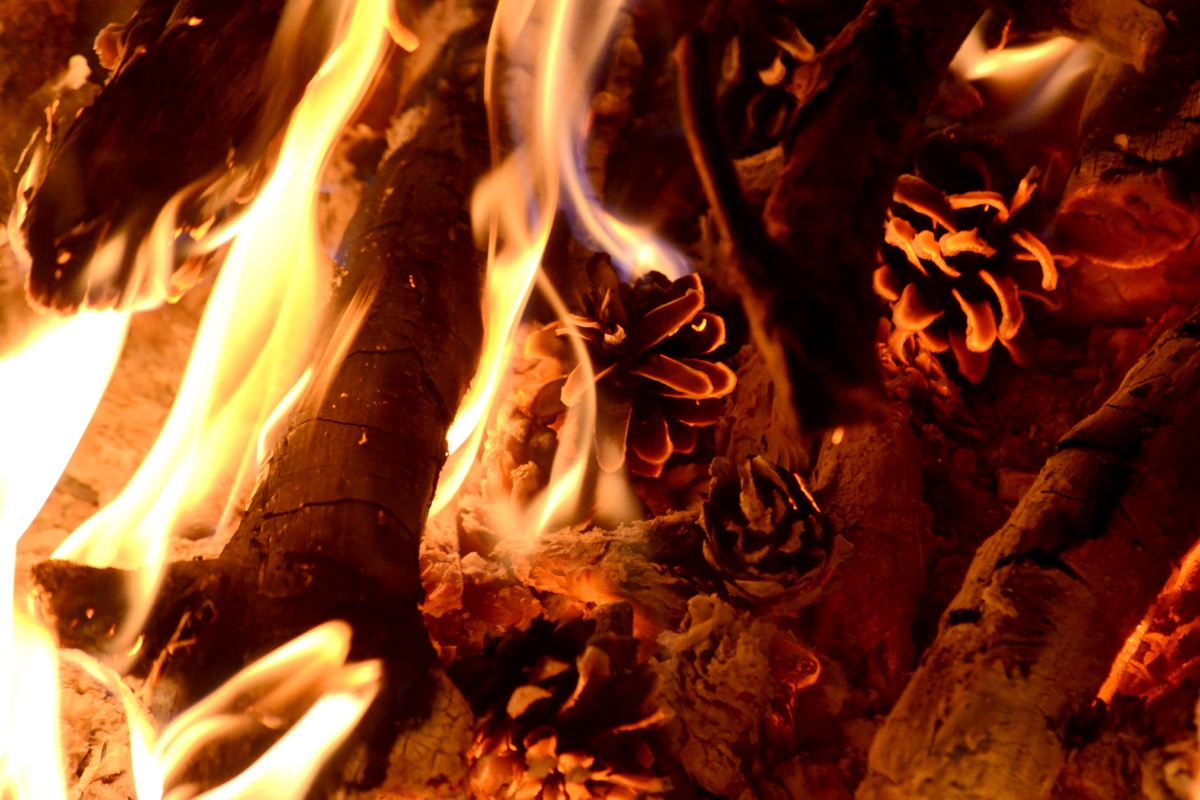 Pinecone Fire Starters