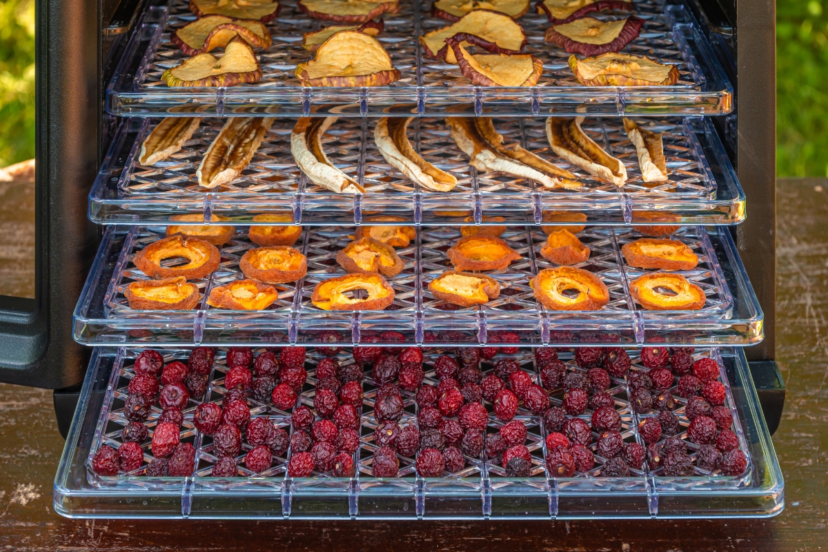 Dehydrating Fruit