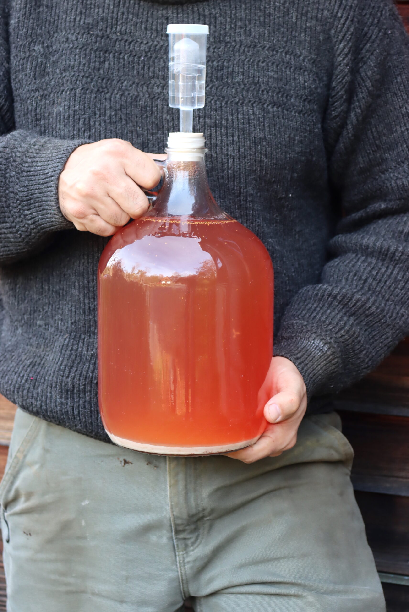 Fig Wine