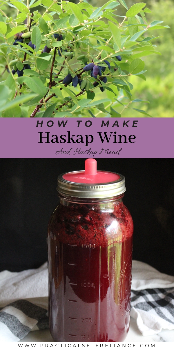How to Make Haskap Wine