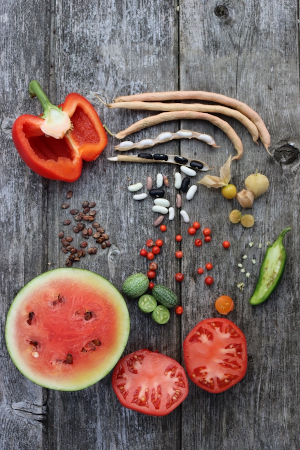 Seed Saving