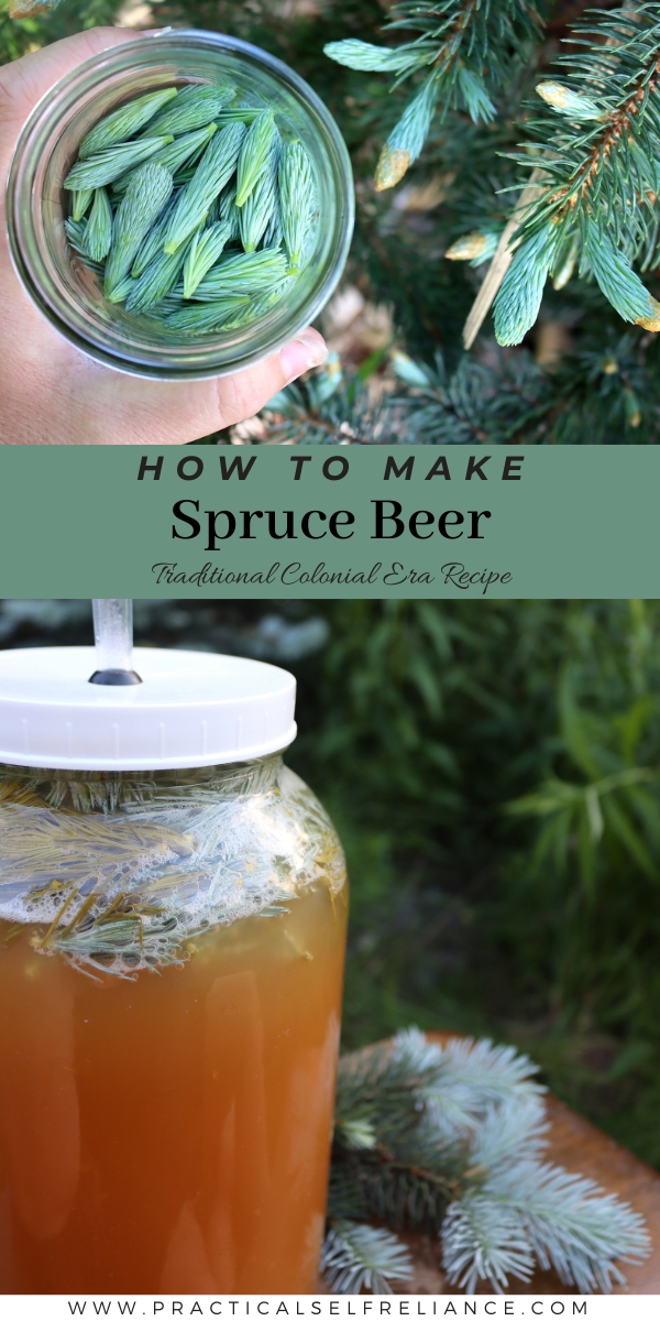 Spruce Beer Recipe