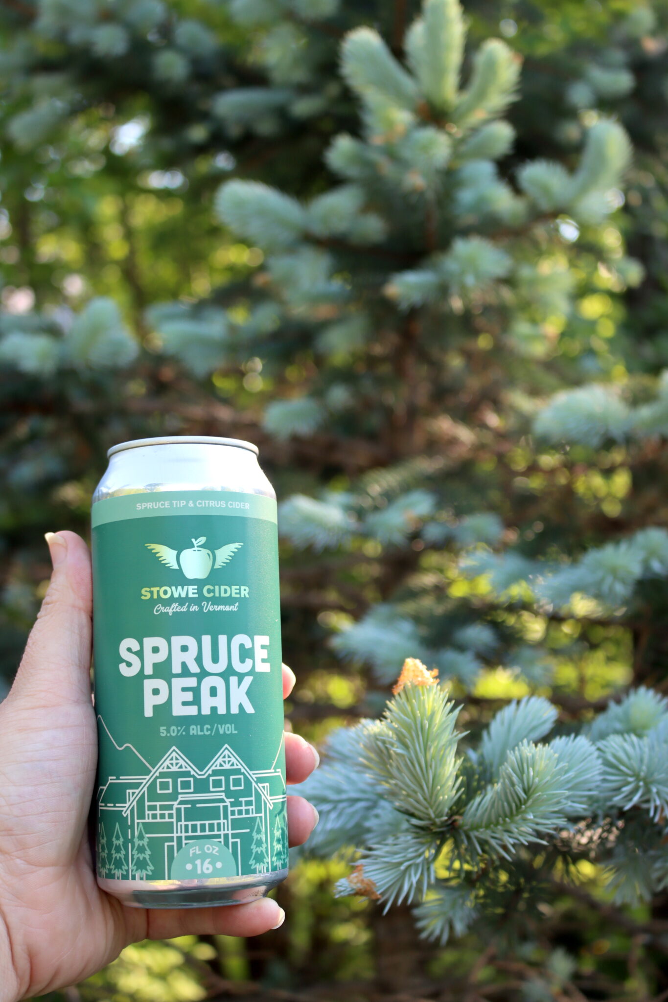 Spruce Hard Cider