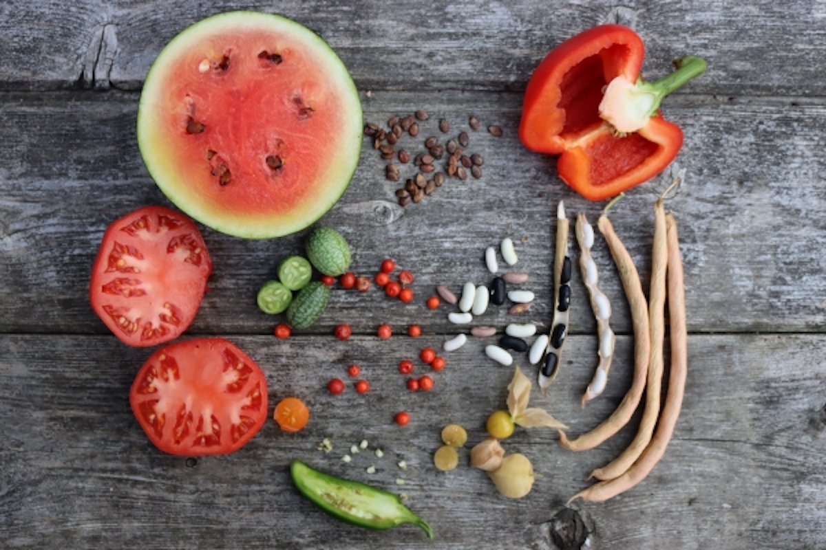 Saving Seeds