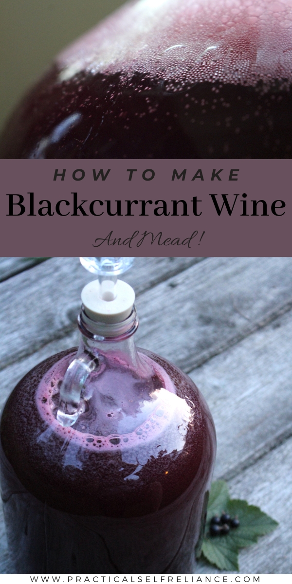 Blackcurrant Wine Recipe