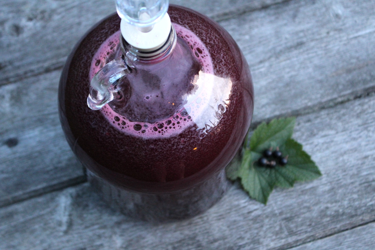 Blackcurrant wine