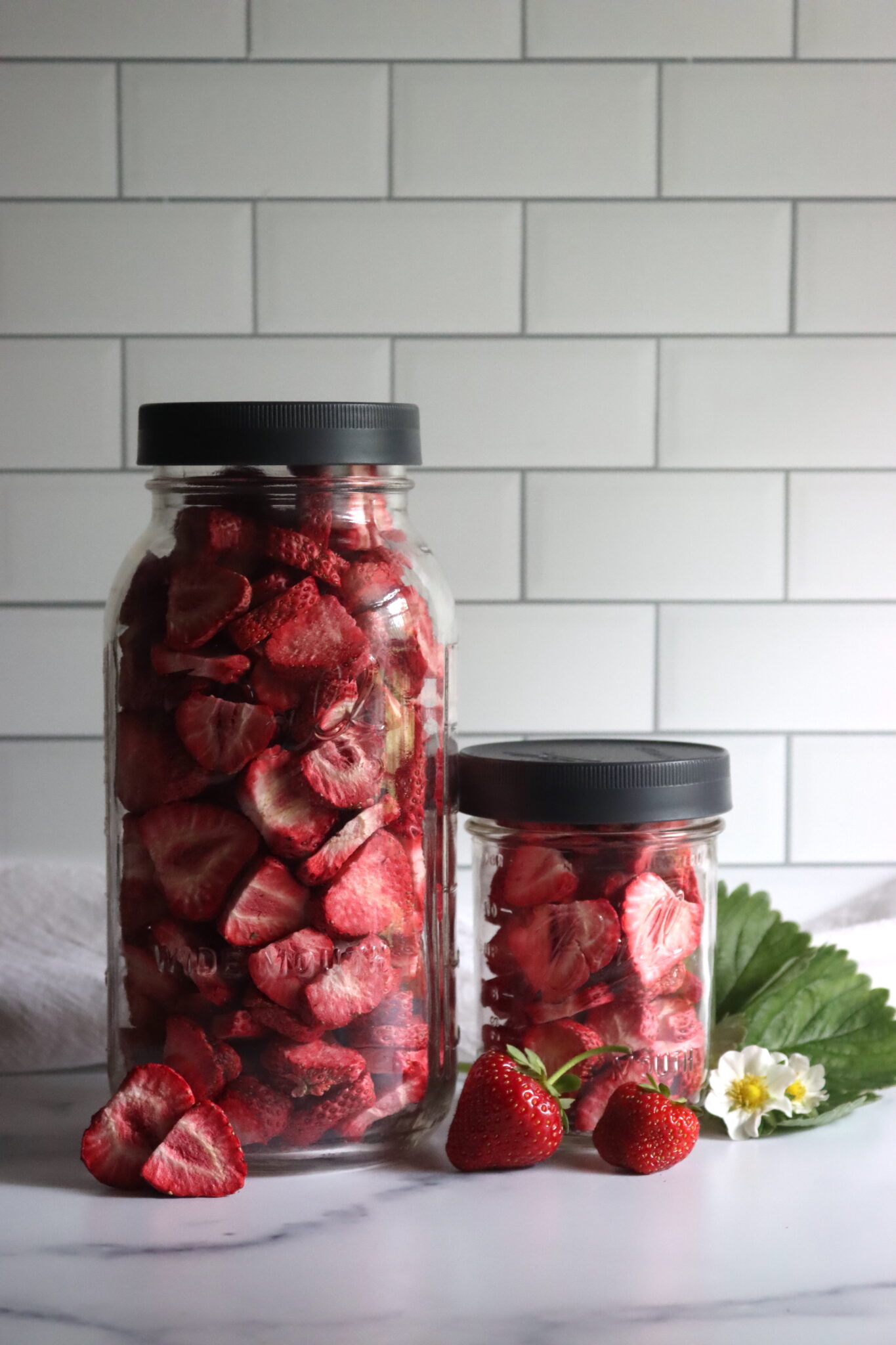 Freeze Drying Strawberries