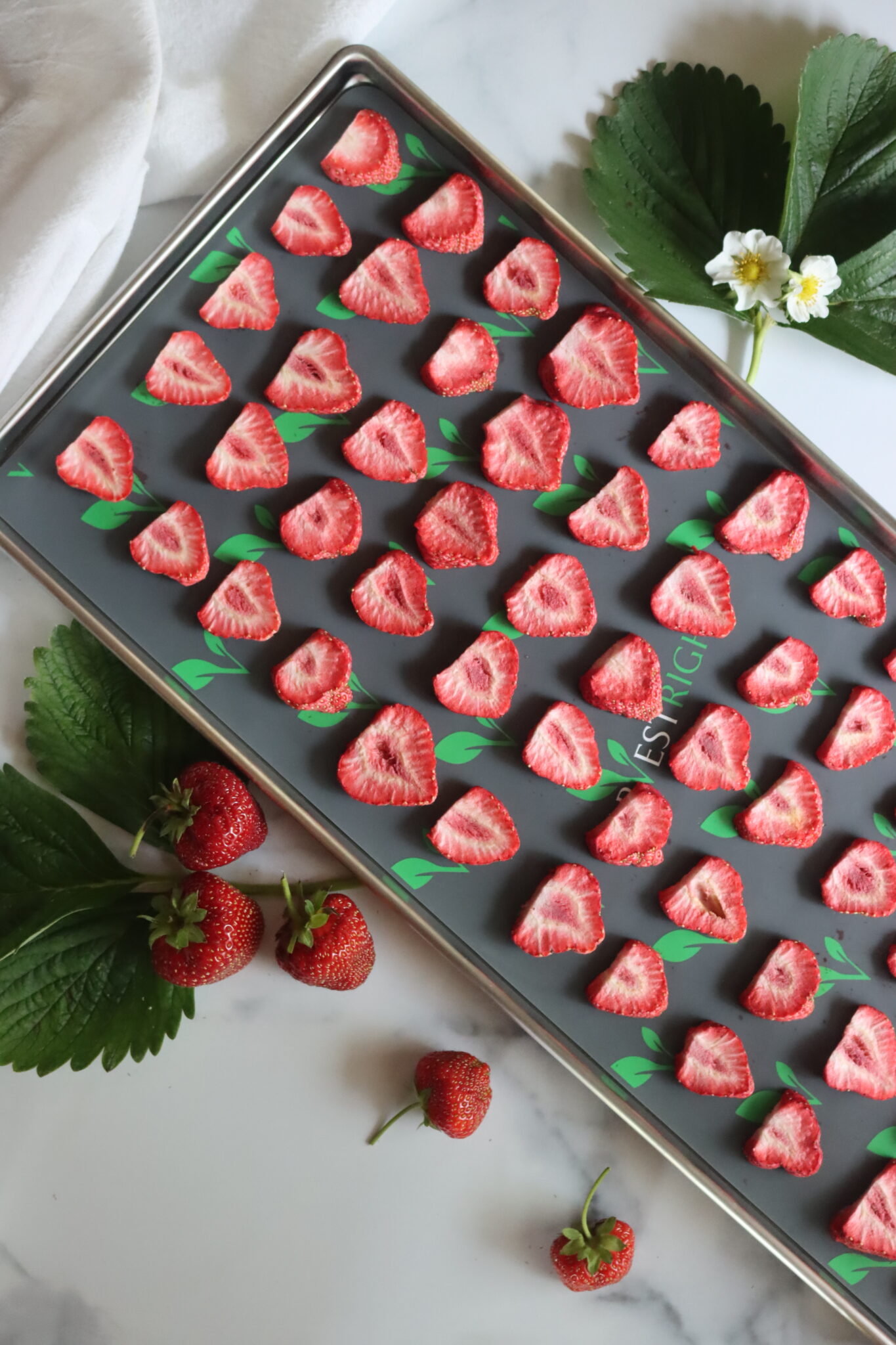 Freeze Drying Strawberries