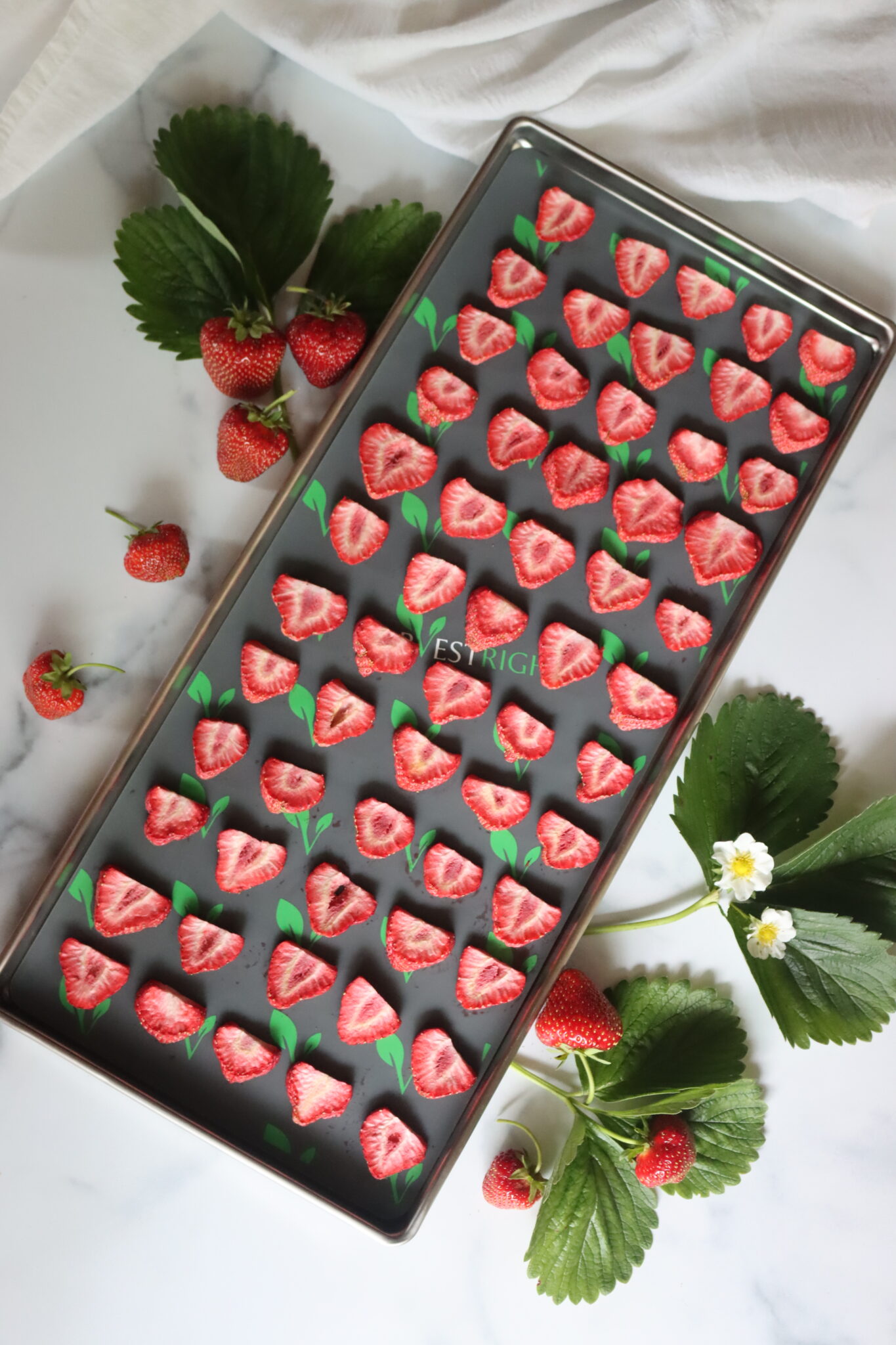 Freeze Drying Strawberries