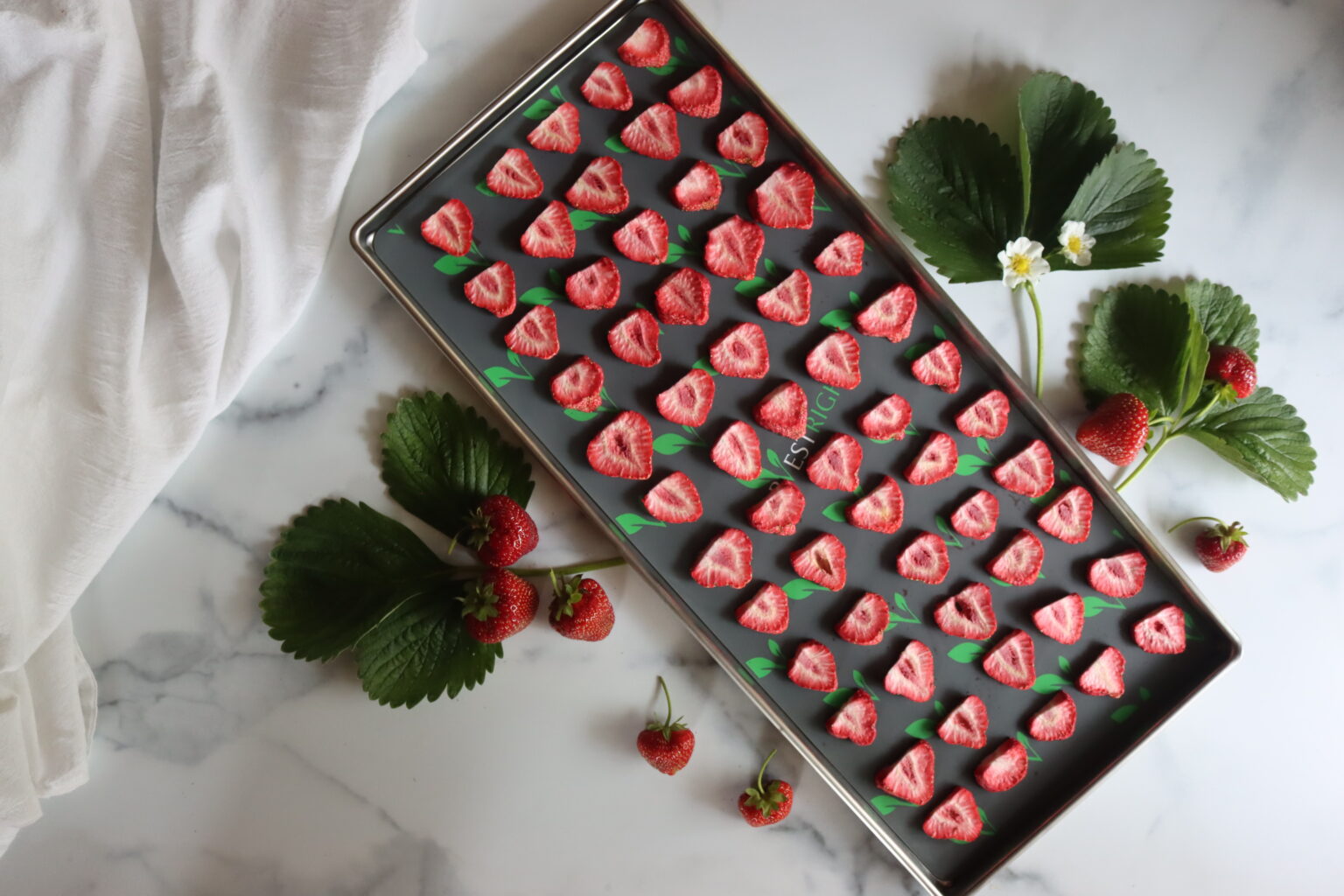 Freeze Drying Strawberries