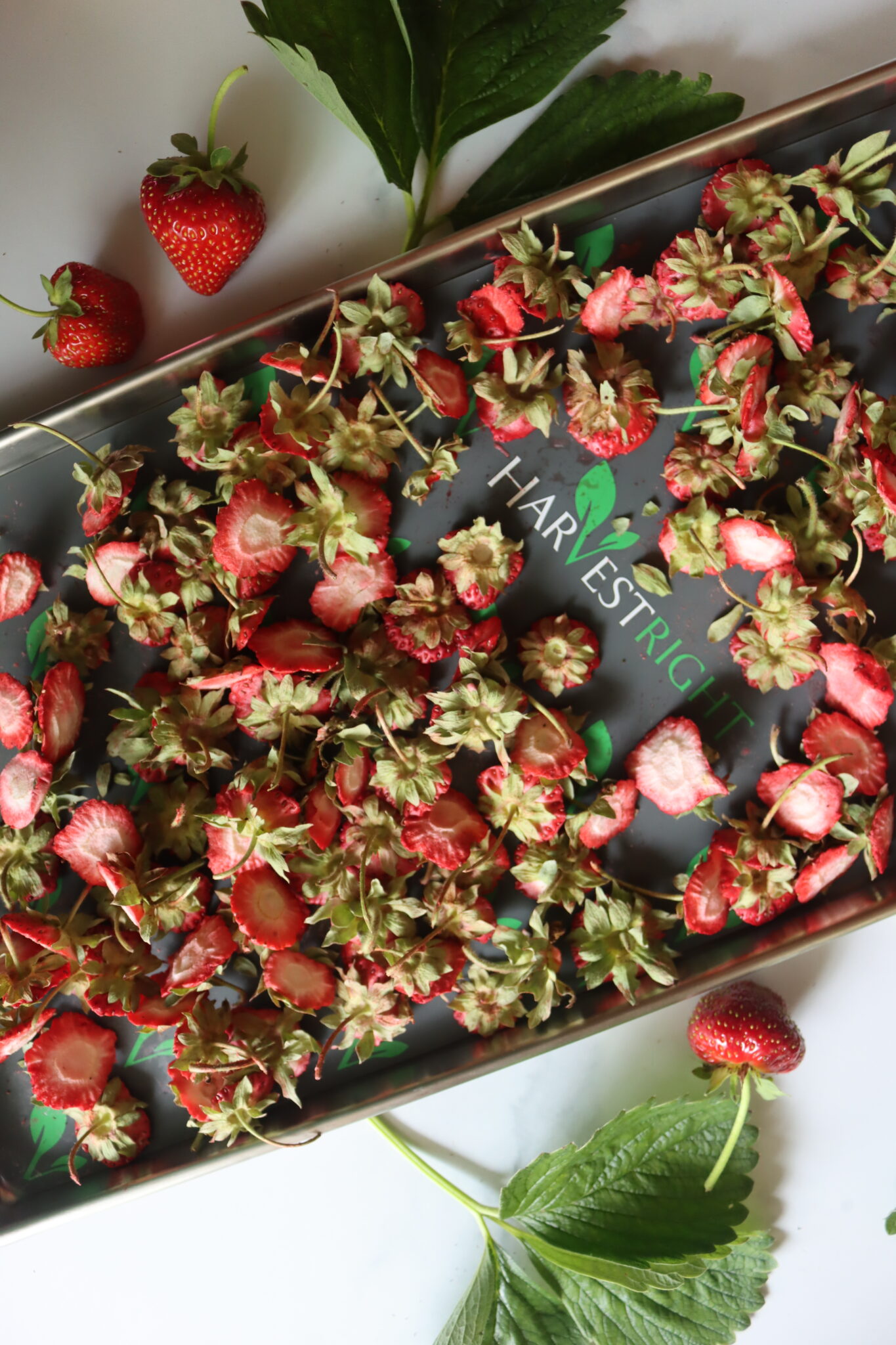 Freeze Drying Strawberry Tops